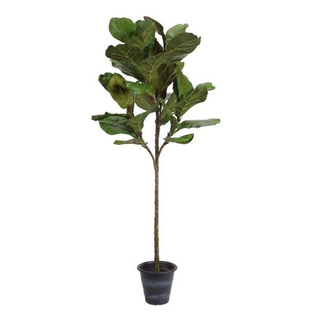 PIAZZA Potted Fiddle Leaf Fig PI2615766